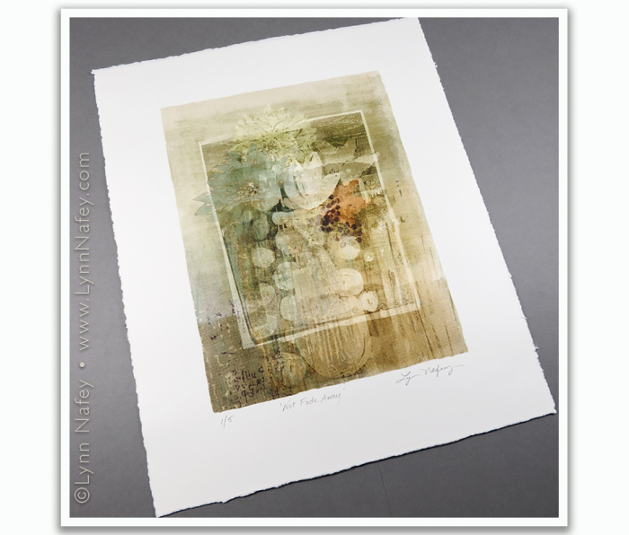 Not Fade Away by Lynn Nafey Not Fade Away by Lynn Nafey
