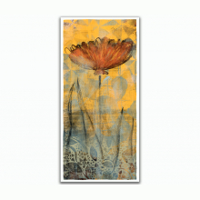 Saffron Summer