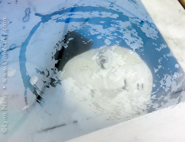 "In The Deep End" (detail) - mixed media art by Lynn Nafey